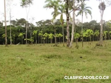 Se vende finca en el cruce anaban