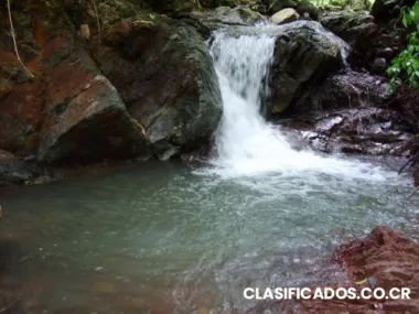 Se vende finca en puriscal, abundancia de agua, areas de reforestación y potrero, terreno