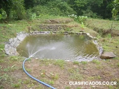 Se vende finca solo bueno