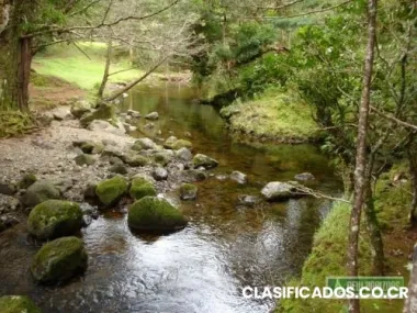 Se vende hermosa finca en los ángeles, san rafael, heredia