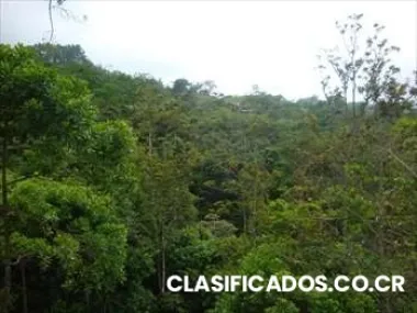 Terreno #60 mercedes sur puriscal san jose