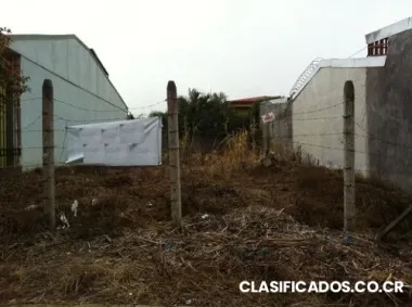 Terreno comercial san francisco heredia #40