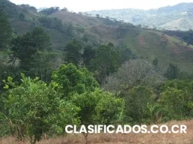 Terreno corteza puriscal #18