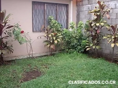 Vendo casa en residencial sofía, omega