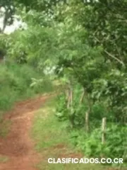 Vendo excelente finca