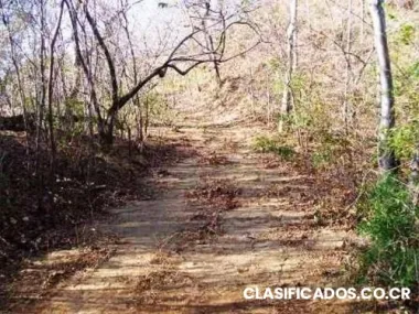 Vendo finca 138 hectáreas tempate, guanacaste