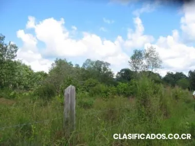 Vendo finca en ciudad neilly