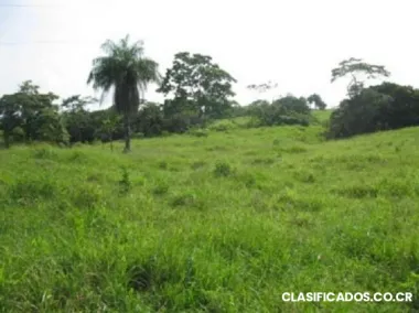 Vendo finca en la delicias de cobano 5650 mts