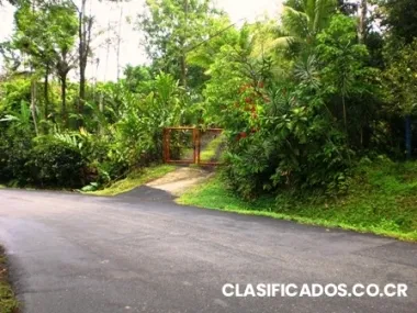 Vendo finca en siquirres