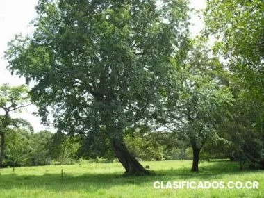 Vendo finca y lote 95% planos