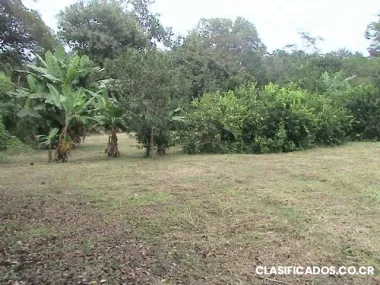 Vendo hermosa quinta en turrubares para vivienda o recreo