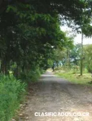 Vendo hermoso lote - la colonia san rafael