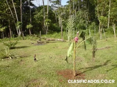 vendo lindo lote de oportunidad en sarapigui