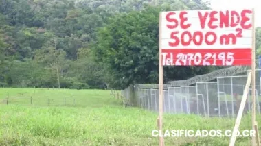 Vendo lote en la marina, san carlos de 5000 metros cuadrados.