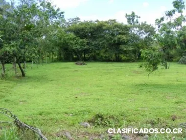 Vendo lote para quinta en san carlos