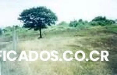 Vendo lote santa gertrudis sur de grecia