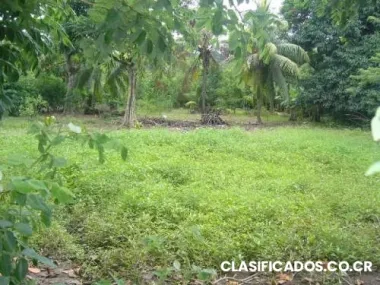 Vendo lotes en guacimo limon a 4km de la earth