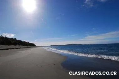 Vendo parcelas en islas cailin. sur de chile