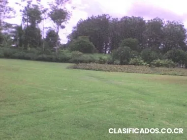 Vendo preciosa finca en siquirres