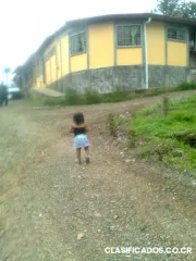 Vendo propiedad con 4 alquileres