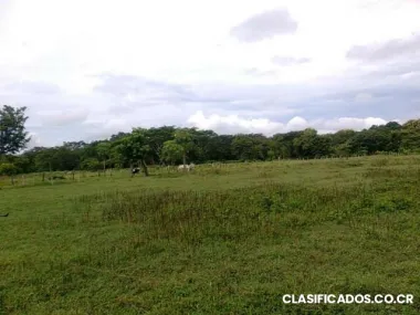 Vendo propiedad de 17800m2 en abangares