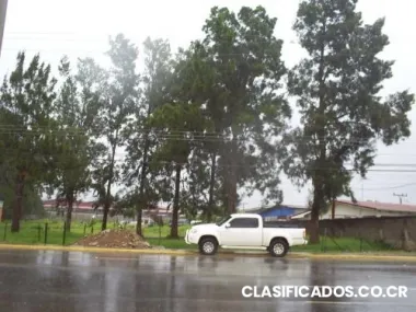 Vendo propiedad en paraiso de cartago 4232 m2