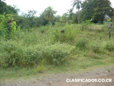 Vendo propiedad en rio negro de cobano,puntarenas