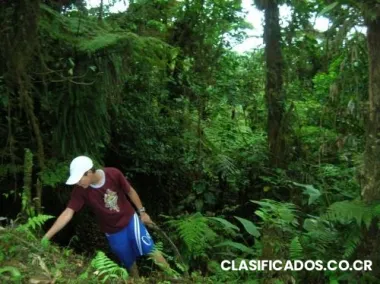 Vendo propiedad en san ramon- la balsa