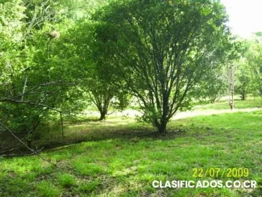 Vendo quinta en atenas