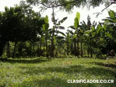 Vendo terreno en grecia costa rica. excelente !!!