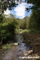 Vendo ultima finca san miguel de desamparados ganga!