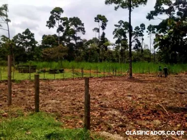 Venta de finca barata por motivo de viaje