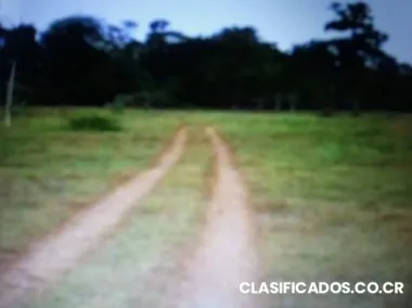 Venta de finca en los chiles guatuso