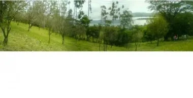 Venta de finca en tilaran, frente al lago arenal