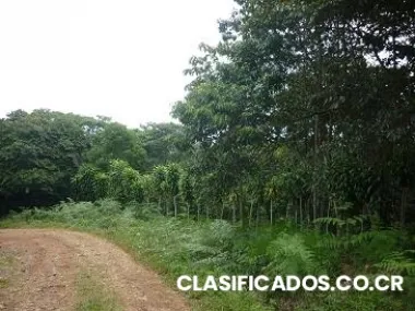 Venta de finca