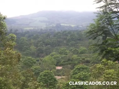 Venta de lote en aquiares, turrialba