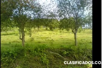 Venta de terreno en tilaran