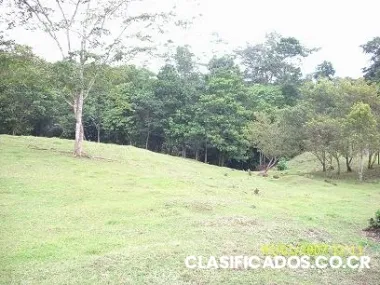 Venta de terreno para quinta