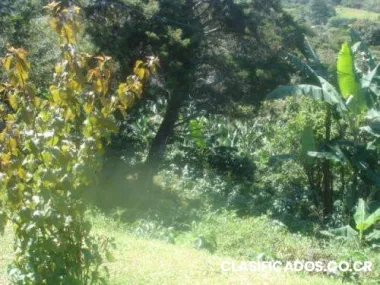 Venta terreno, 5 hectáreas, santa ana