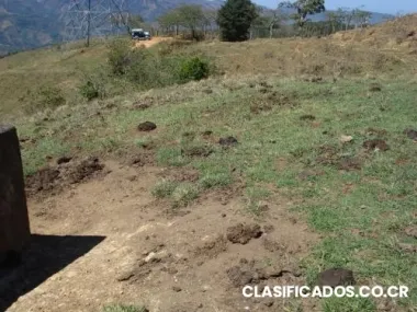 Venta terreno cedral