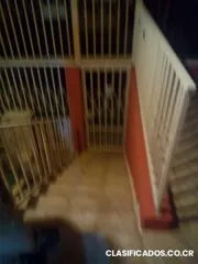 Alquilo casa de habitacion