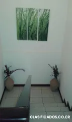 Alquilo hermosa casa