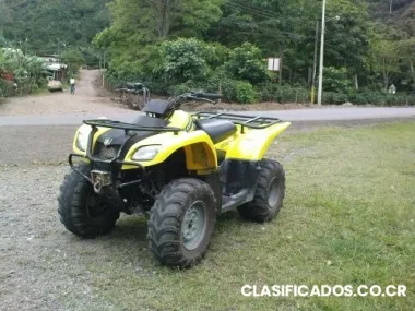 Se vende esta belleza