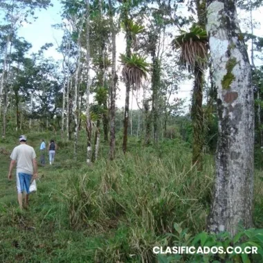 ******oportunidad fincas con exelentes espectativas****