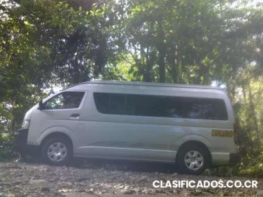 Transporte para palmares