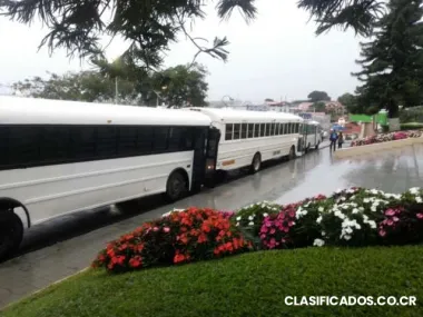Buscas microbuses o buses para tus paseos?