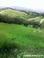 Cambio lote en tilaran