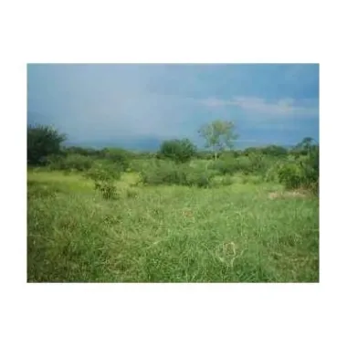 Cambio lotes por mini super en san jose