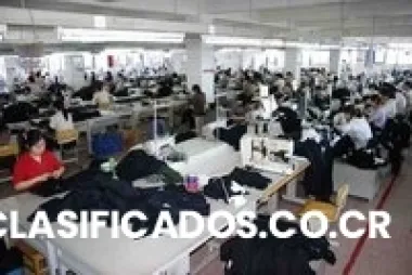 Camisetas tipo polo bordadas para empresa con la mej0r calidad desde 5000