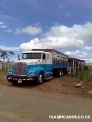 Cammmmion ganadero fraigthlander